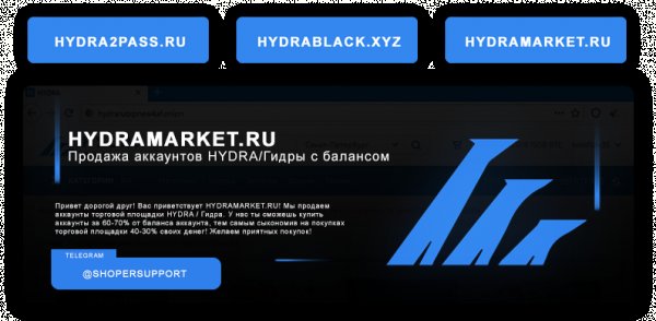 Как вывести деньги с kraken