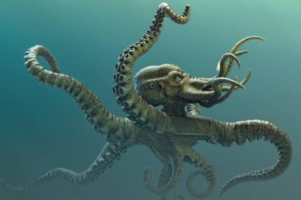 Kraken даркнет переходник